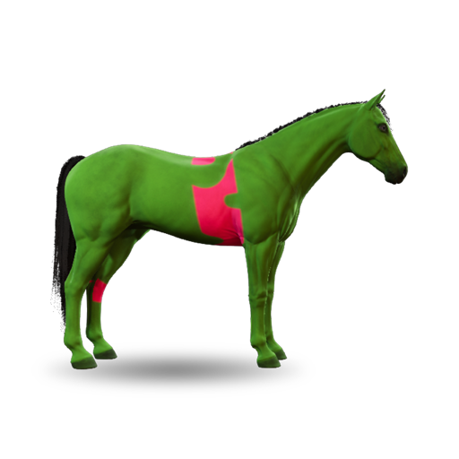 Belt_02