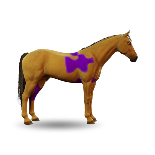 Belt_04