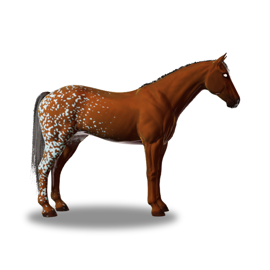 Rabicano I