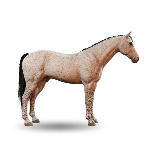 Roan III