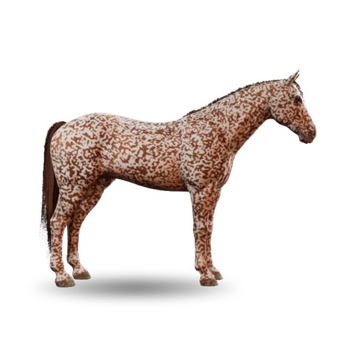 Roan II